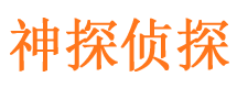 柳河市私家侦探